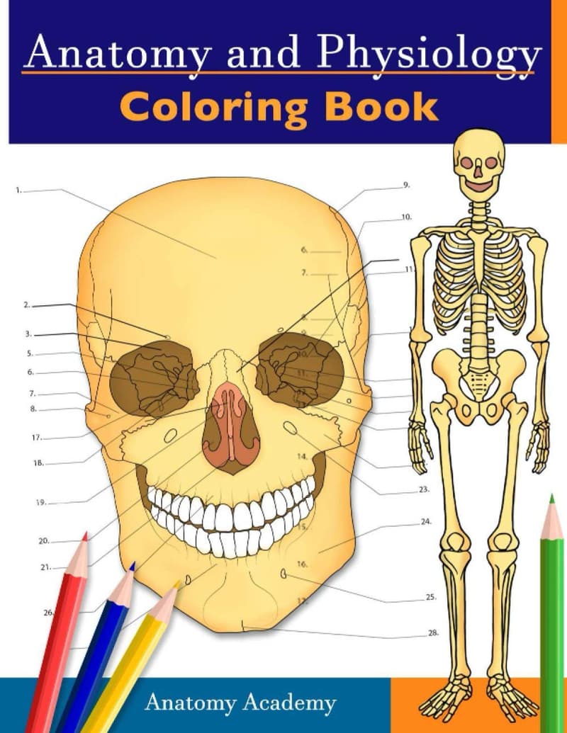 Anatomy Coloring Book for Medical Students and Professionals