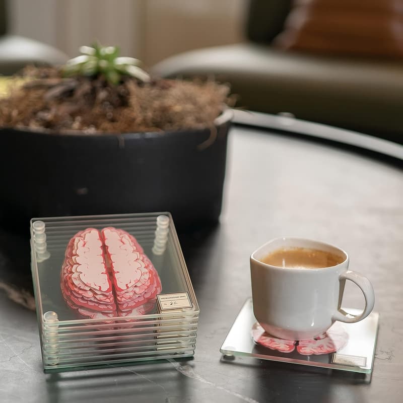 Neuroscience Coaster Set – 10 Anatomic Brain Decor Gifts