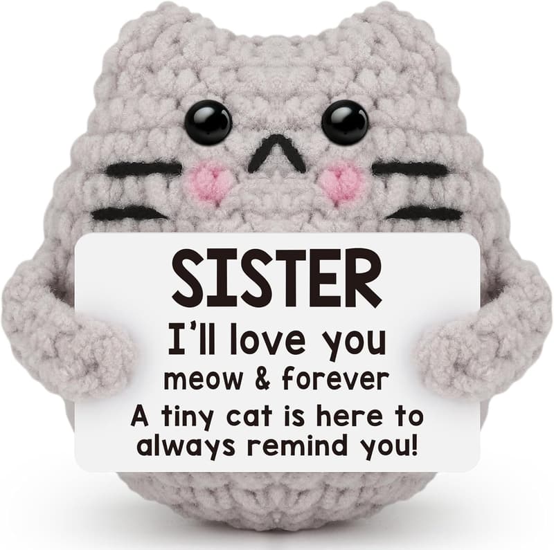 Handmade Crochet Cat Inspirational Gift for Sister's Birthday
