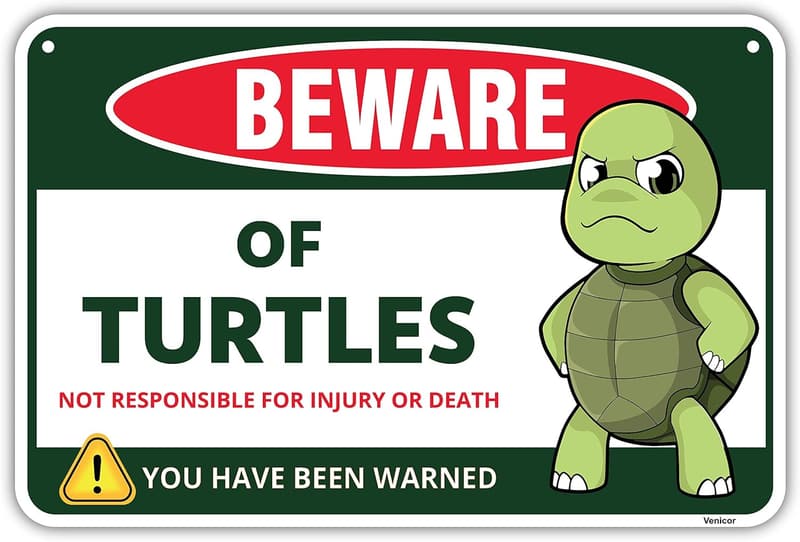 Turtle Decor Sign - 8