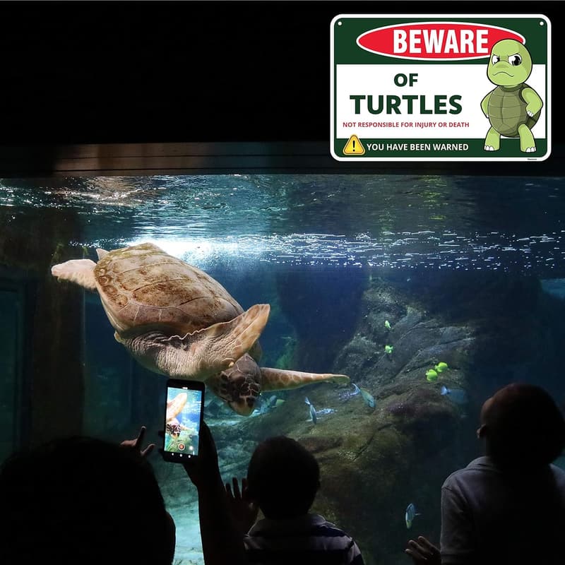 Turtle Decor Sign - 8