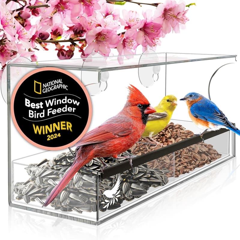Nature's Hangout Window Bird Feeder - Clear Acrylic, Easy Clean