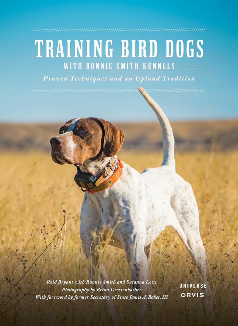 Bird Dog Training Guide by Ronnie Smith Kennels: Proven Techniques