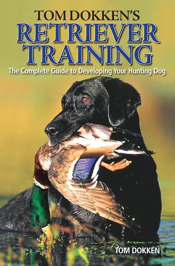 Retriever Training Guide: Develop Your Hunting Dog Skills