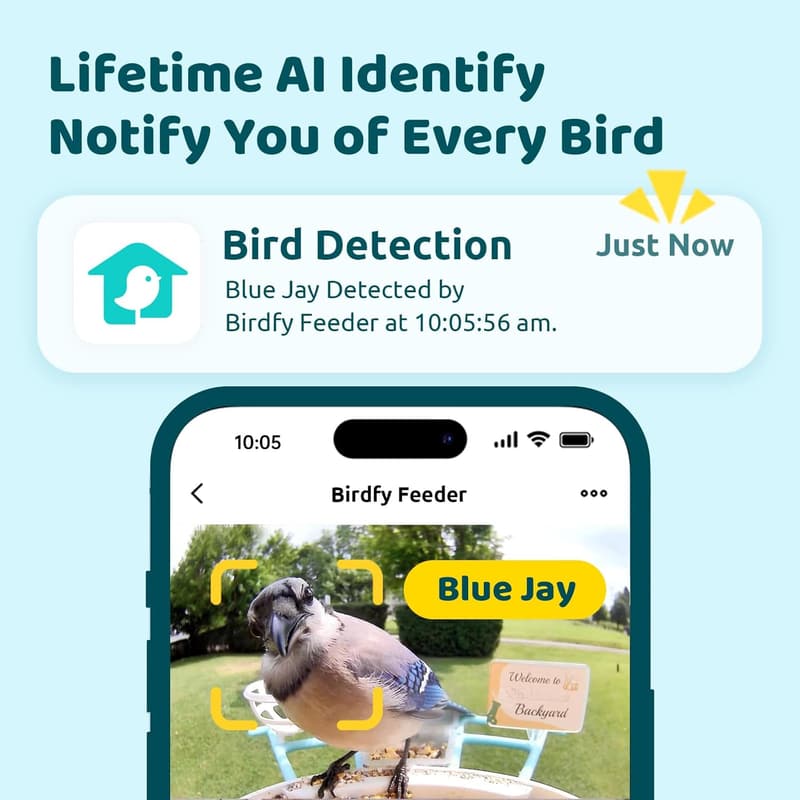 AI Smart Bird Feeder Camera - Solar Powered with Cloud Storage