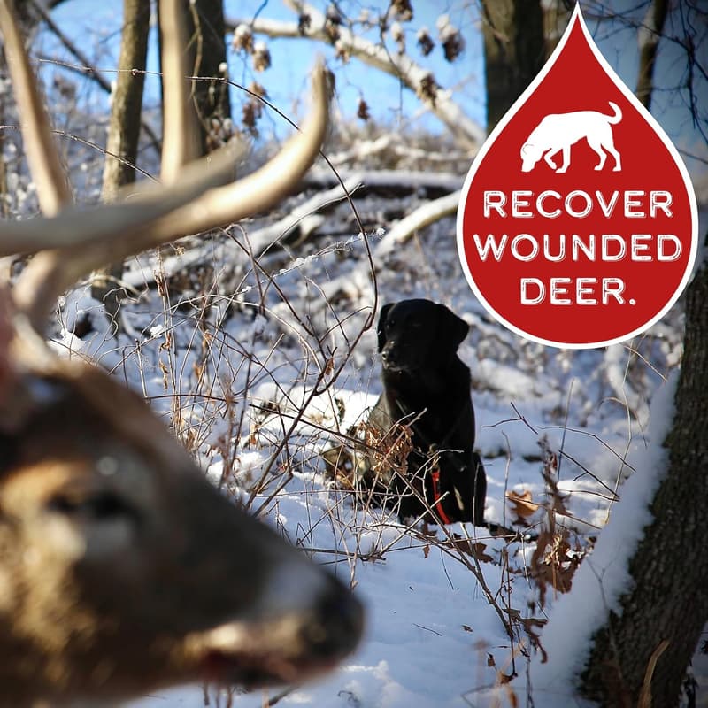 Dog Training Kit for Tracking Wounded Deer | Hunting Accessories