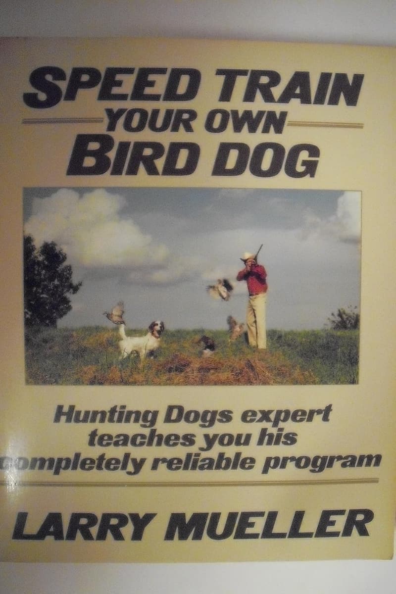 Bird Dog Training Guide: Expert Tips for Hunting Dogs