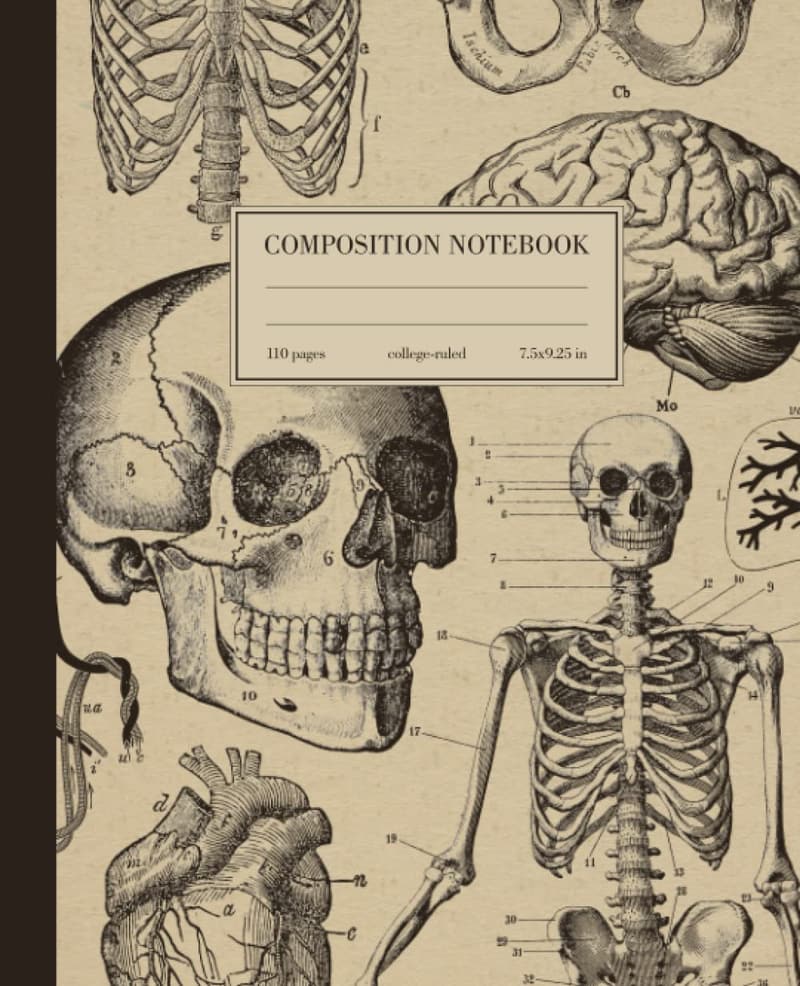 Vintage Medical Skull Anatomy Composition Notebook for Students