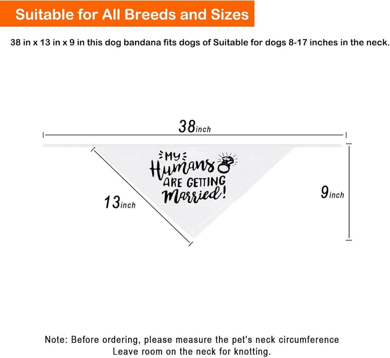 Dog Engagement Announcement Bandana - 