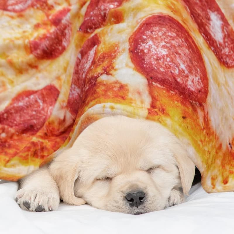 Funny Double-Sided Pizza Blanket for Adults & Kids - 60