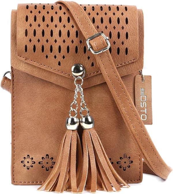 Teenage Girls' Tassel Crossbody Bag Wallet