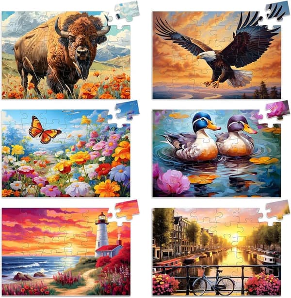 Large Jigsaw Puzzle for Seniors - 6 Pack Memory Games