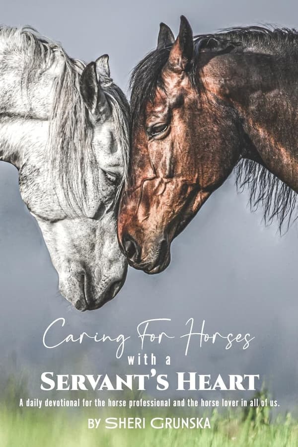 Horse Care Daily Devotional for Professionals and Enthusiasts