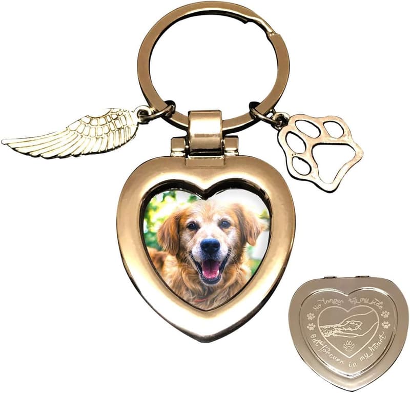 Pet Memorial Personalized Picture Frame or Keychain for Dogs/Cats