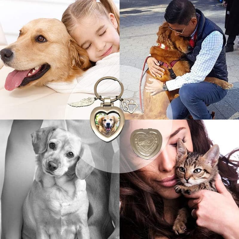 Pet Memorial Personalized Picture Frame or Keychain for Dogs/Cats