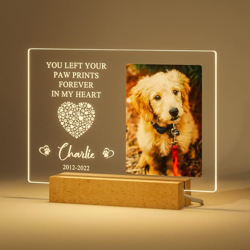 Personalized Pet Memorial Night Light & Photo Frame