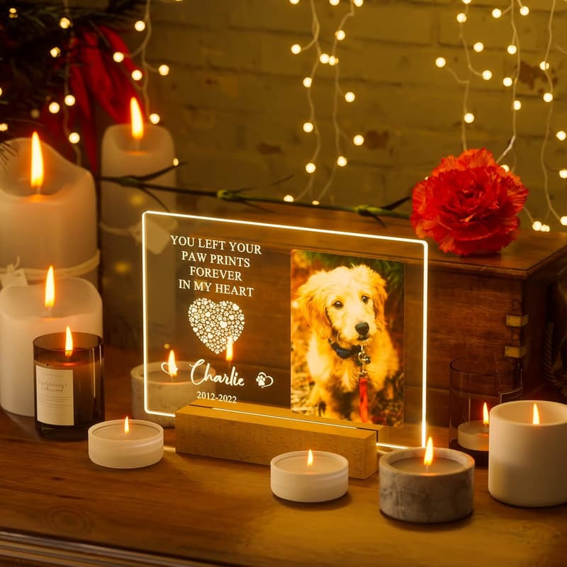 Personalized Pet Memorial Night Light & Photo Frame
