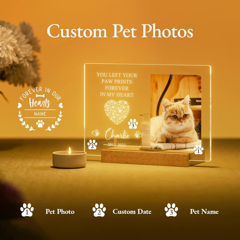 Personalized Pet Memorial Night Light & Photo Frame
