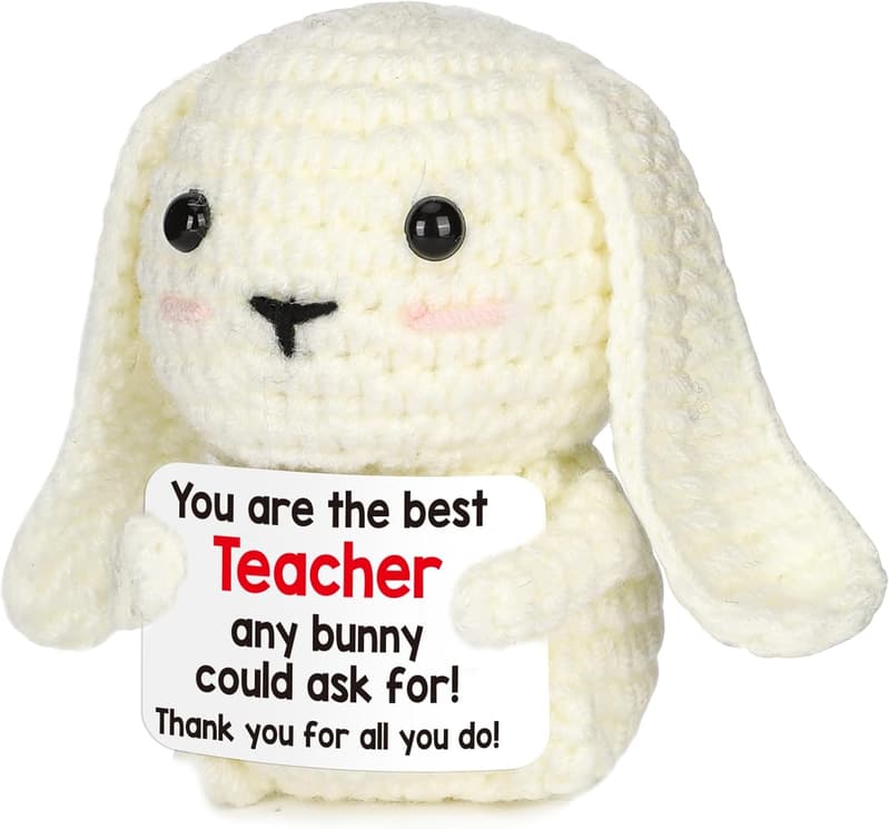 Teacher's Day Gift: Handmade Crochet Bunny for Women