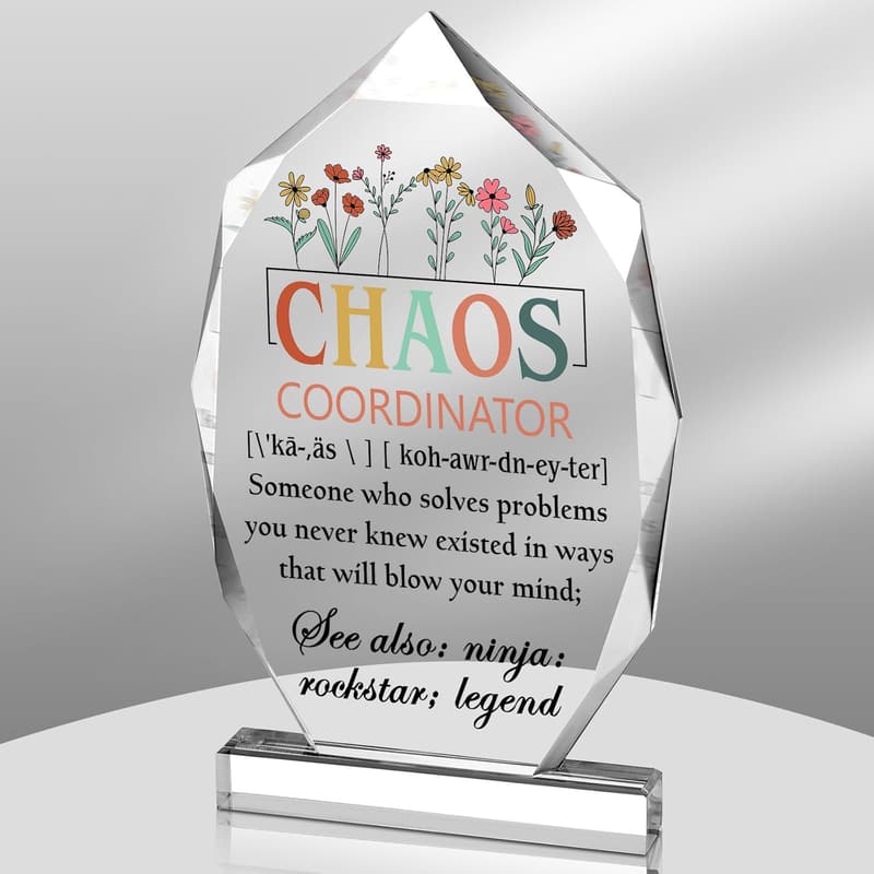 Thank You Gift for Women - Chaos Coordinator Desk Decor