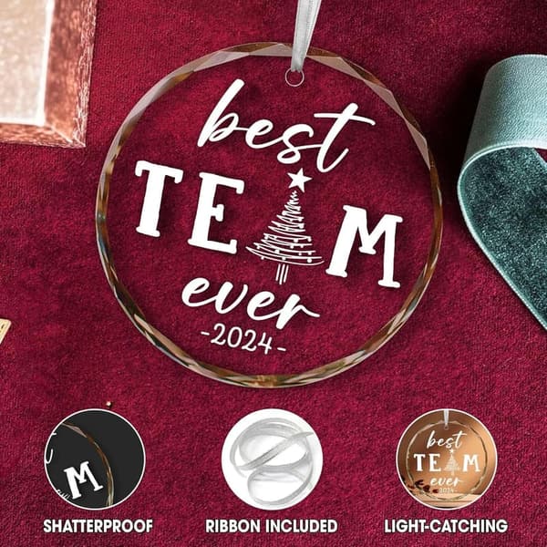 Team Appreciation Glass Ornaments for Coworkers 2024