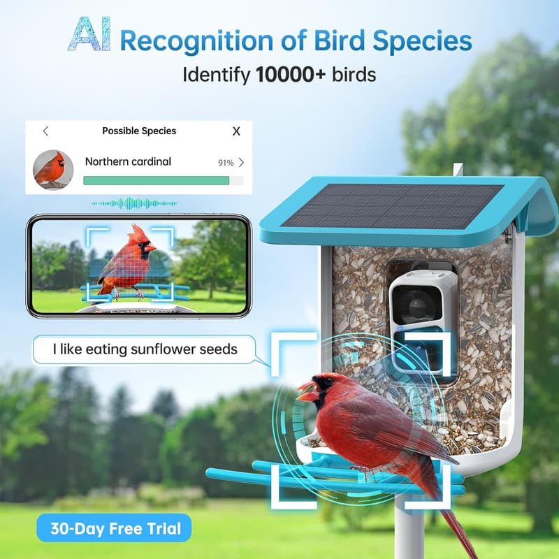 Smart Bird Feeder with Camera - Solar WiFi Live Streaming