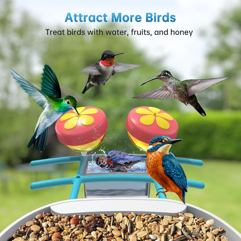 Smart Bird Feeder with Camera - Solar WiFi Live Streaming