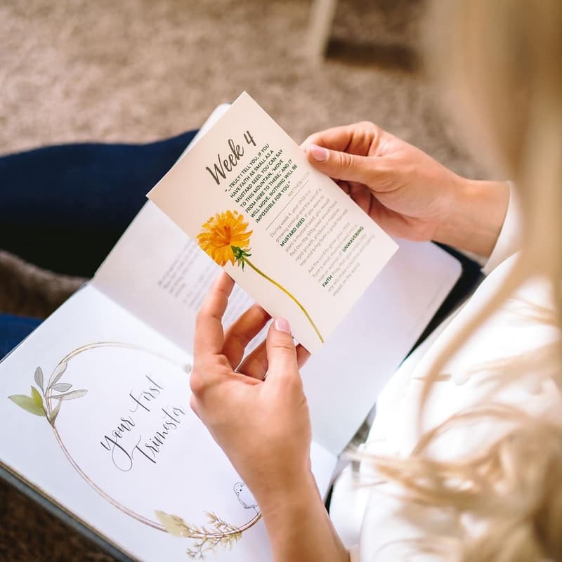 Pregnancy Prayer Cards - Milestone Cards for Expecting Moms
