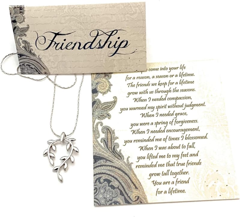 Friendship Gift Set: Platinum Vine Necklace & Greeting Card