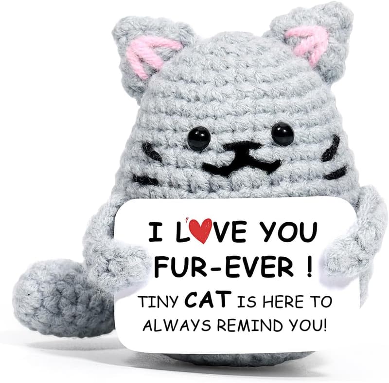 Valentine's Day Crochet Cat Gift for Couples