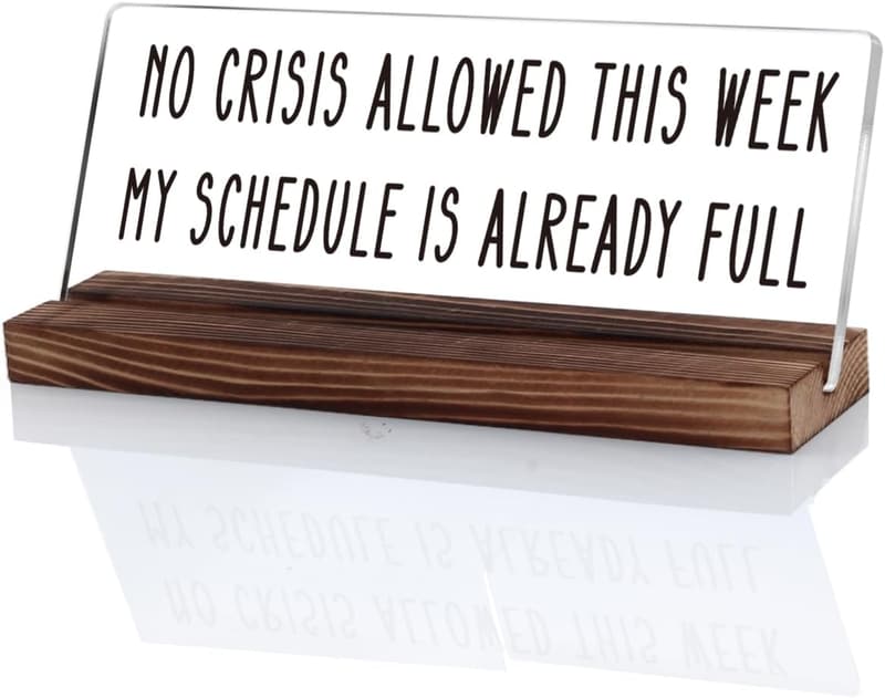Sarcastic Office Desk Sign: 