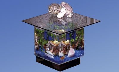 Aqua End Table Aquarium for Unique Home Decor
