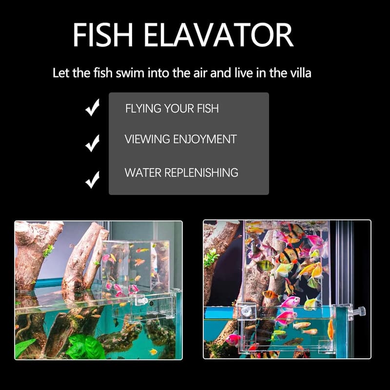 Clear Automatic Fish Tank Water Level Maintainer & Decor