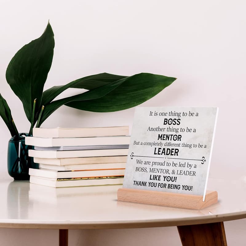 Boss Appreciation Plaque with Stand – Cool Desk Decor Gift