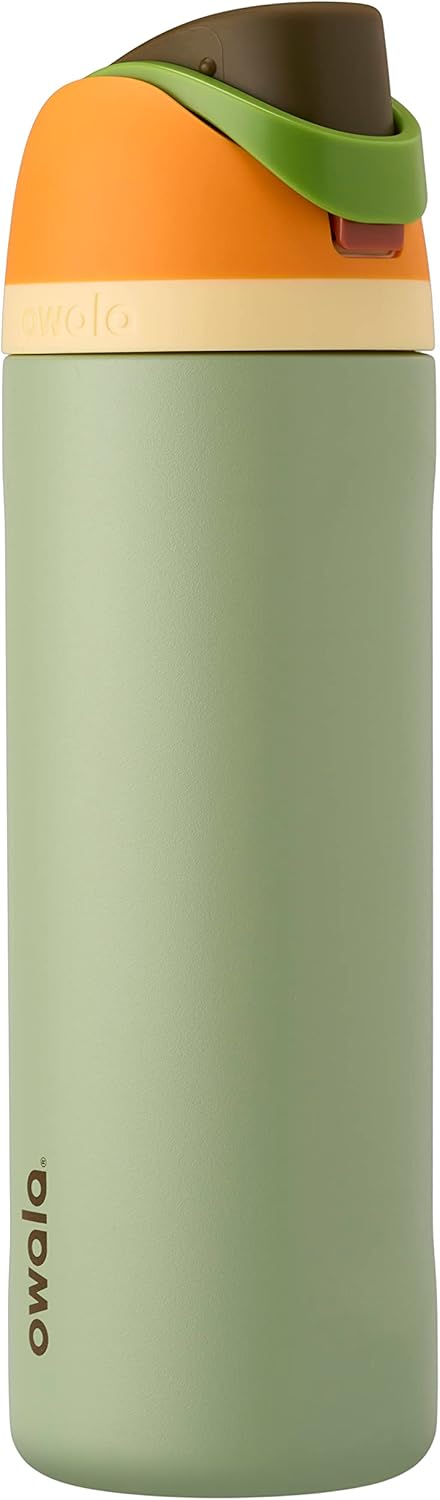 Insulated 24 Oz Stainless Steel Water Bottle with Straw