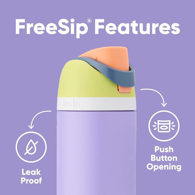 Insulated 24 Oz Stainless Steel Water Bottle with Straw