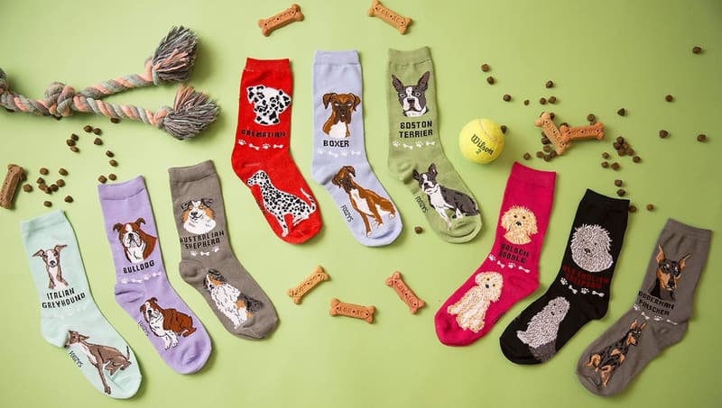 Goldendoodle Crew Socks | Unisex Canine Collection