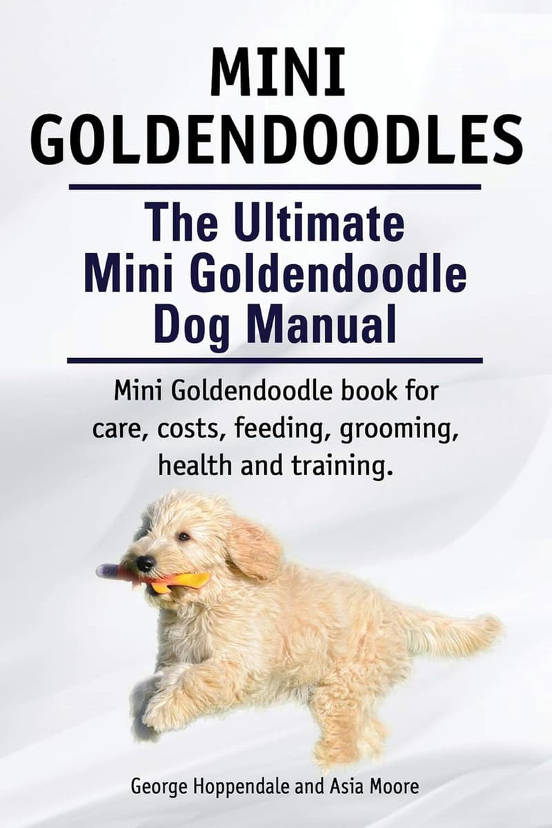 Mini Goldendoodle Care Manual: Training, Grooming & Health Guide