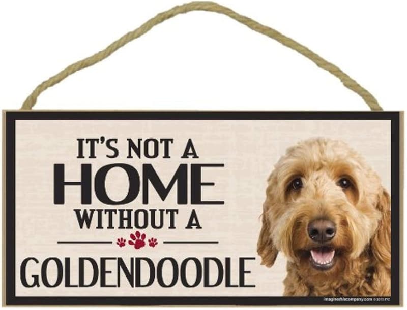 Goldendoodle Dog Breed Wood Sign