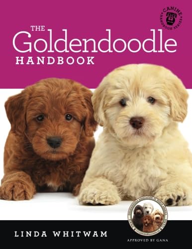 Goldendoodle Handbook: Essential Guide for New Owners