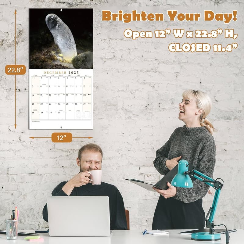 2025 Inappropriate Calendar - Funny Gag Gifts for Adults