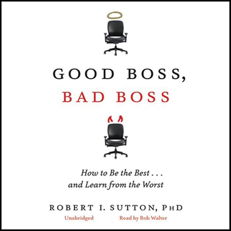 Leadership Guide: Learn from Great and Poor Bosses