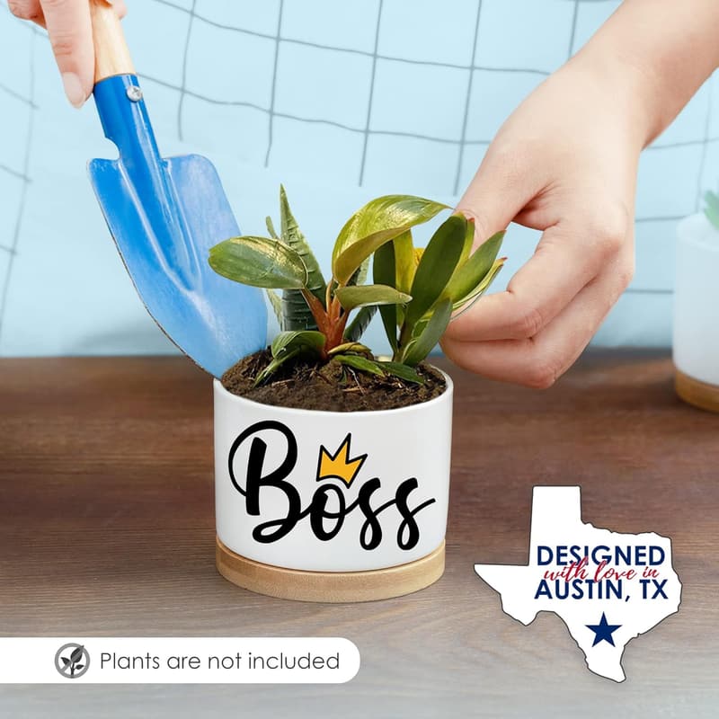 Appreciation Gift for Women - Rosa Vila Boss Planters