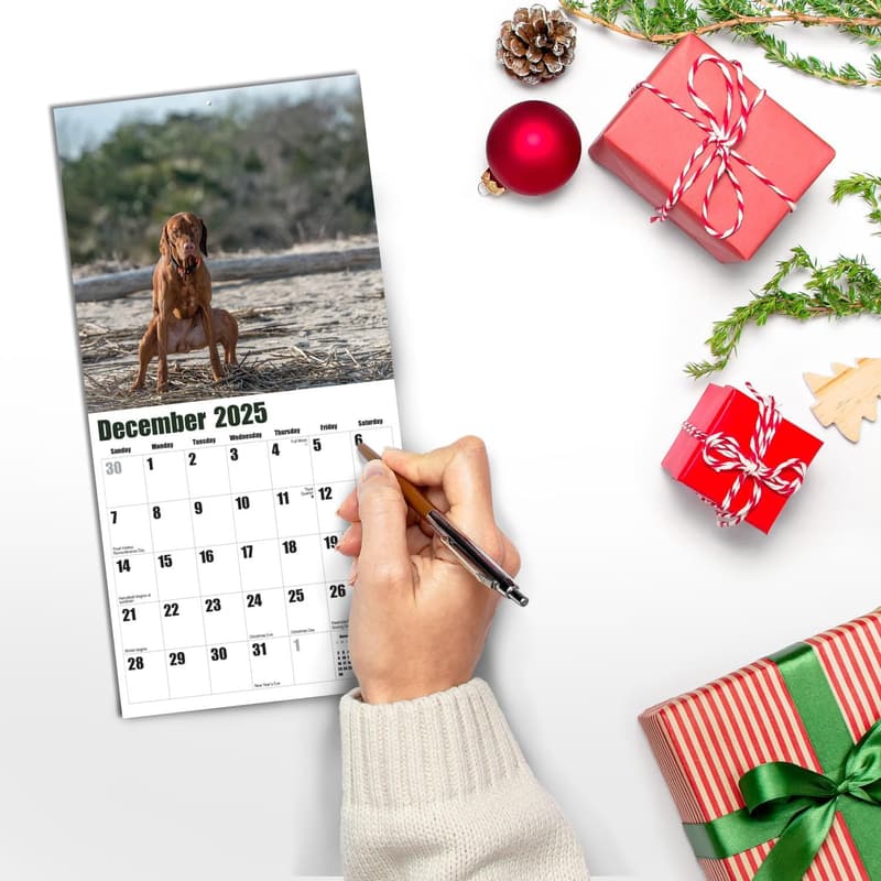 2025 Nature Calls Mini Wall Calendar - Funny Gift for Friends