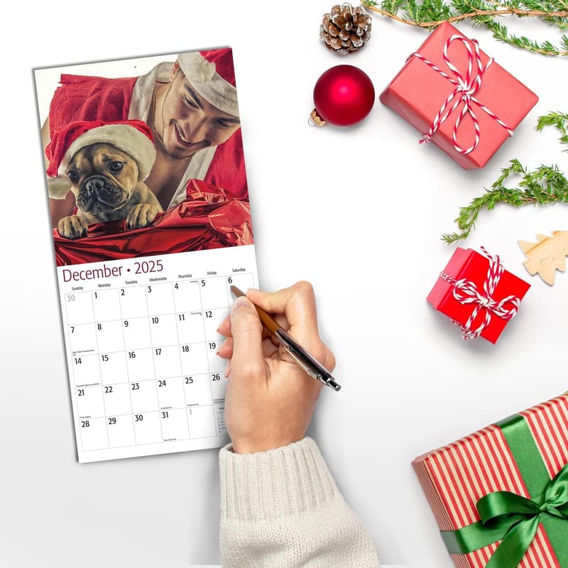 2025 Mini Wall Calendar for Dog Lovers | Giftable & Durable