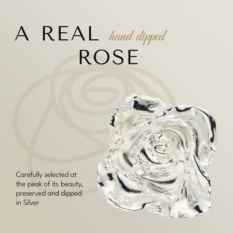 Handcrafted Silver-Dipped Rose in Leather Display Case