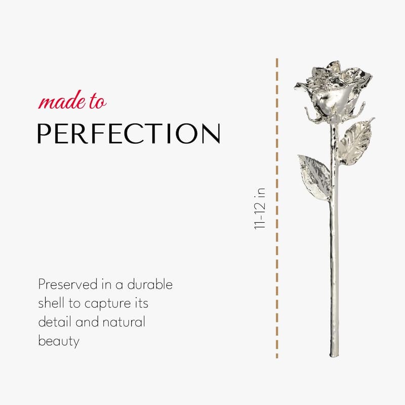 Handcrafted Silver-Dipped Rose in Leather Display Case