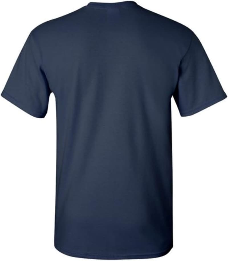 Funny Sarcastic T-Shirt for Dads - 