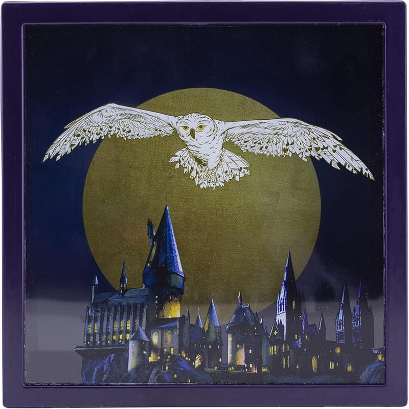 Harry Potter Hedwig Frame Money Box | Officially Licensed Gift