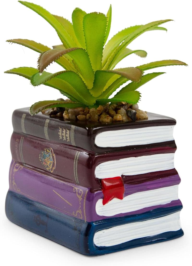 Harry Potter Ceramic Planter with Faux Succulent - Home Decor